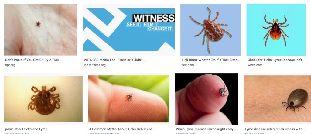 Tick or it didn't happen. Image via Witness.